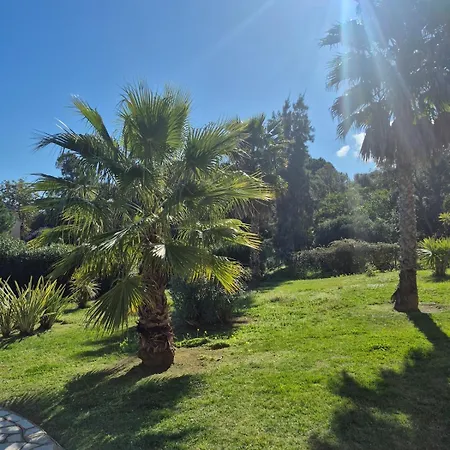 Appartement T3 5 Pers Et Piscines A Castanea Linguizzetta